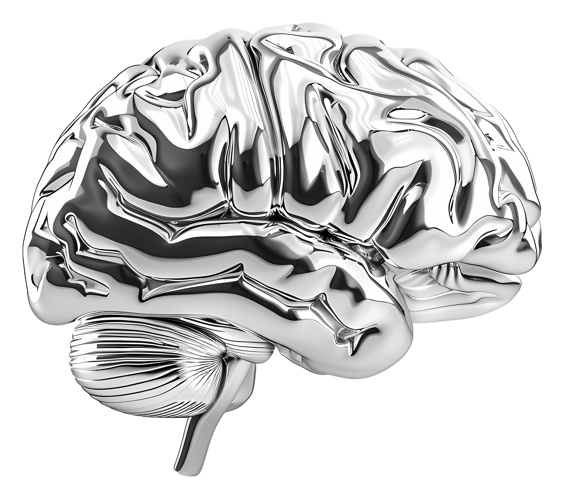 brain